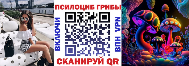 Купить  Шумерля  Галлюциногенные грибы GOLDEN TEACHER 